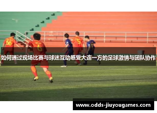 如何通过现场比赛与球迷互动感受大连一方的足球激情与团队协作