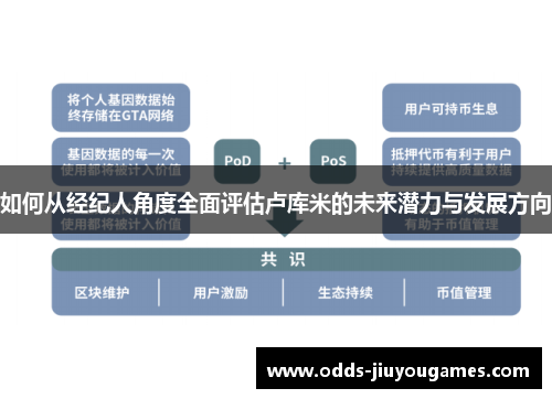 如何从经纪人角度全面评估卢库米的未来潜力与发展方向